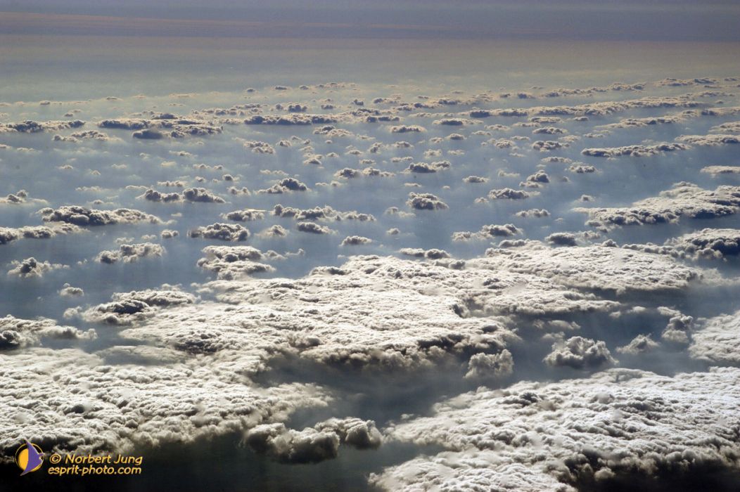 Nom de l'image : D1081342-nef_(c)Norbert-JUNG — Description :